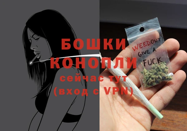 стаф Магас