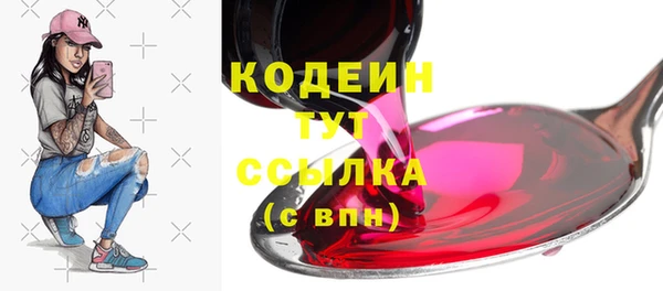 стаф Магас