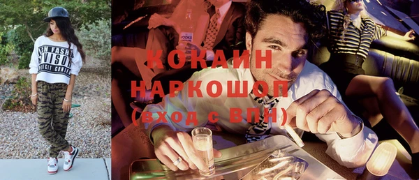 стаф Магас