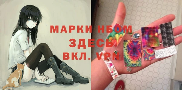 стаф Магас