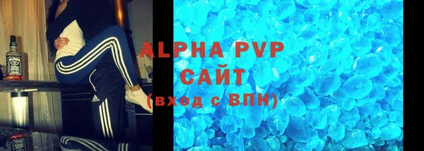стаф Магас