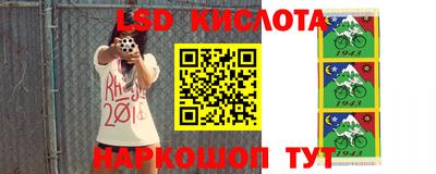 кокс Нарткала