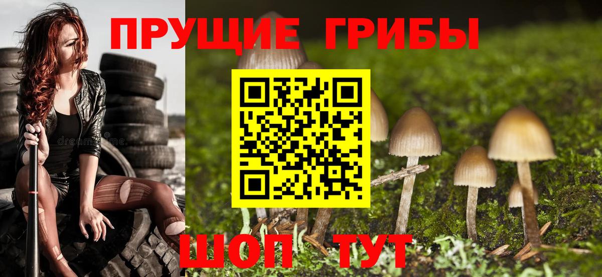 Псилоцибиновые грибы Psilocybe  Псилоцибиновые грибы Magic Shrooms  Реж  Вход с VPN 
